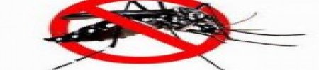 Lotta alle zanzare: un'azione mirata